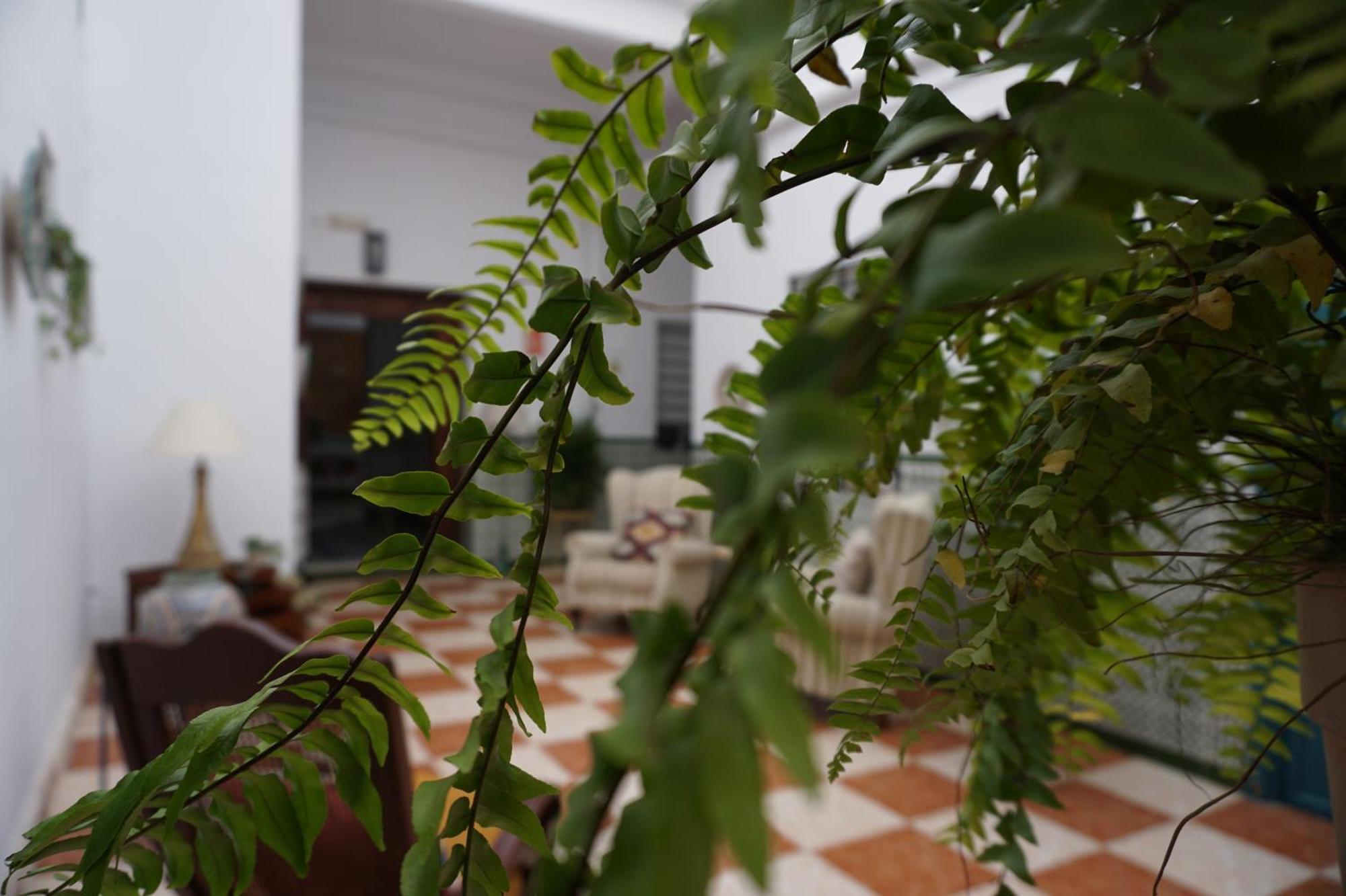 Montserrat Casa Del Mar Guest house Chipiona