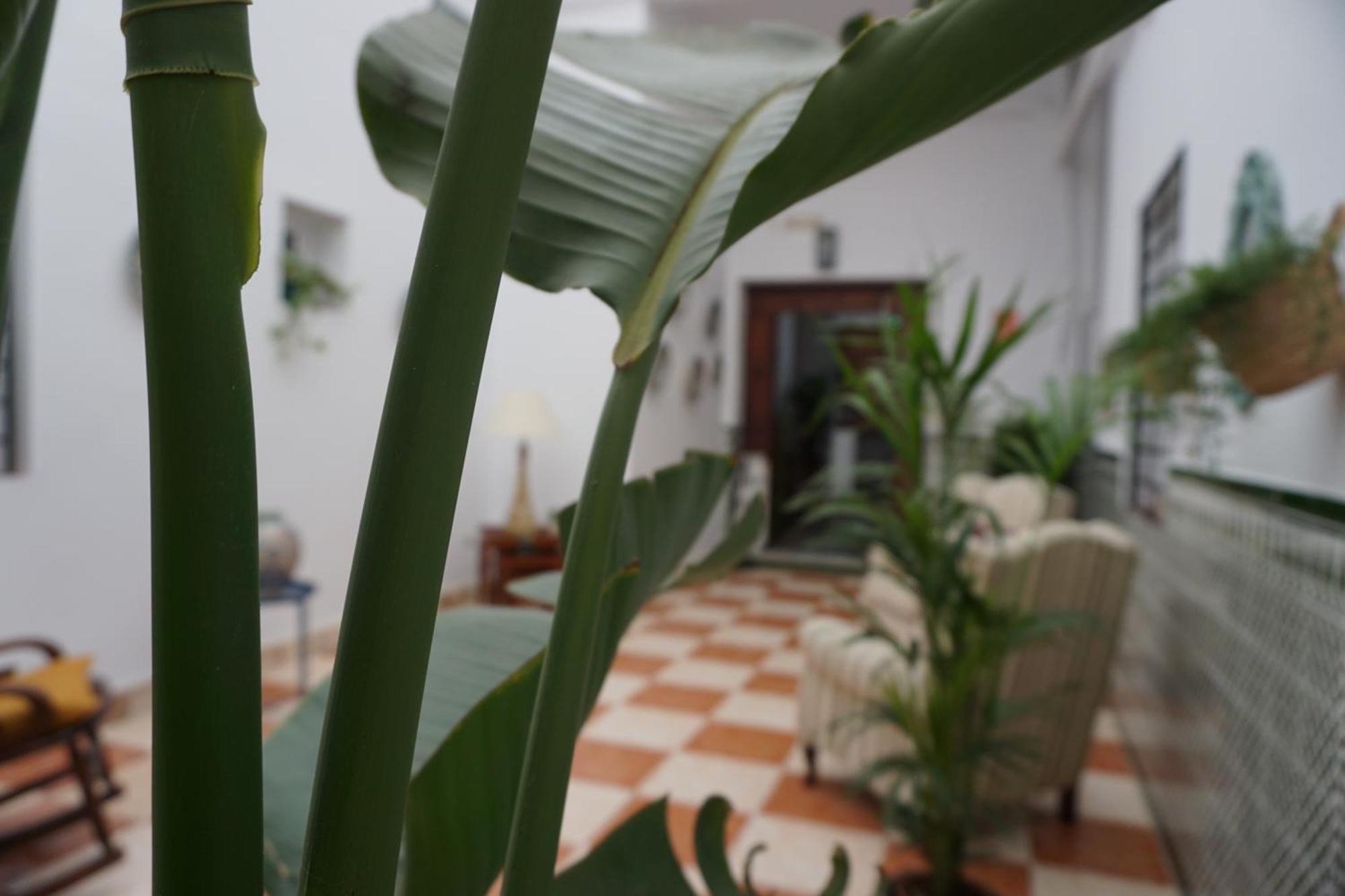 Montserrat Casa Del Mar Guest house *
